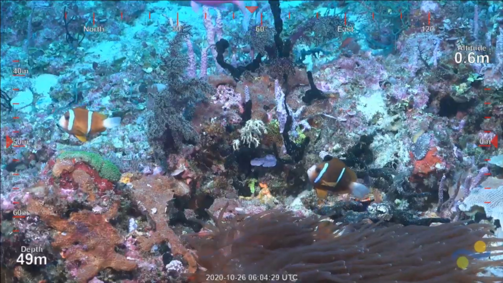 life on the new 500m reef